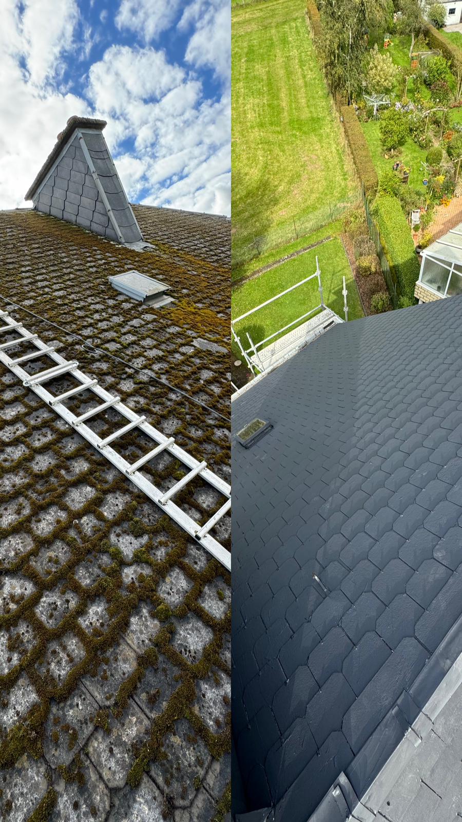 gallery-6 0de0fb29-687a-416a-8f70-875b22bf7da4